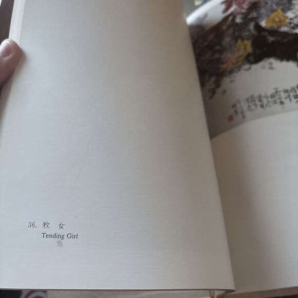 Chinese Paintings by Li Jianchen Piantings HC DJ Very Rare! Watercolor Art Book - Picture 8 of 16